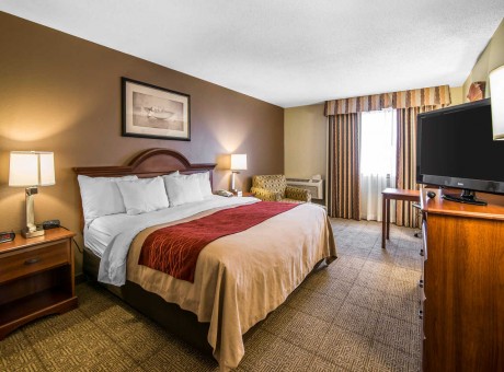 Comfort Inn Santa Rosa - King Bed