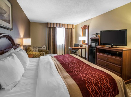 Comfort Inn Santa Rosa - Guest Room with King Bed