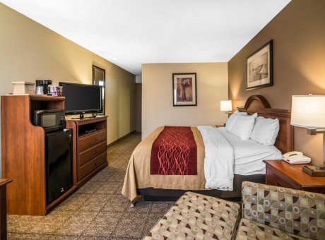 Comfort Inn Santa Rosa - King Bed